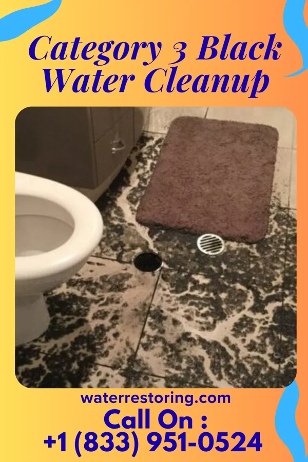 Category 3 Black Water Cleanup in Encantada-Ranchito-El Calaboz, TX
