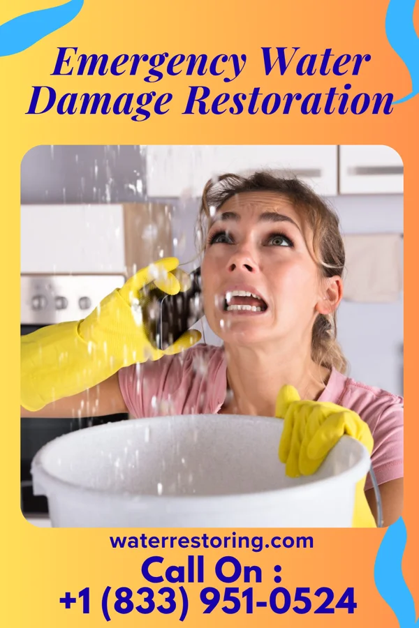 Emergency Water Damage Restoration in Encantada-Ranchito-El Calaboz, TX