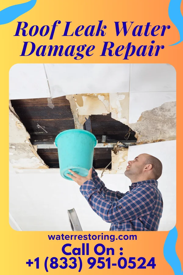 Roof Leak Water Damage Repair in Encantada-Ranchito-El Calaboz, TX